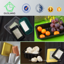 China Manufacturer Cheap High Quality Plastic Frozen Food Packaging Tray Supply
